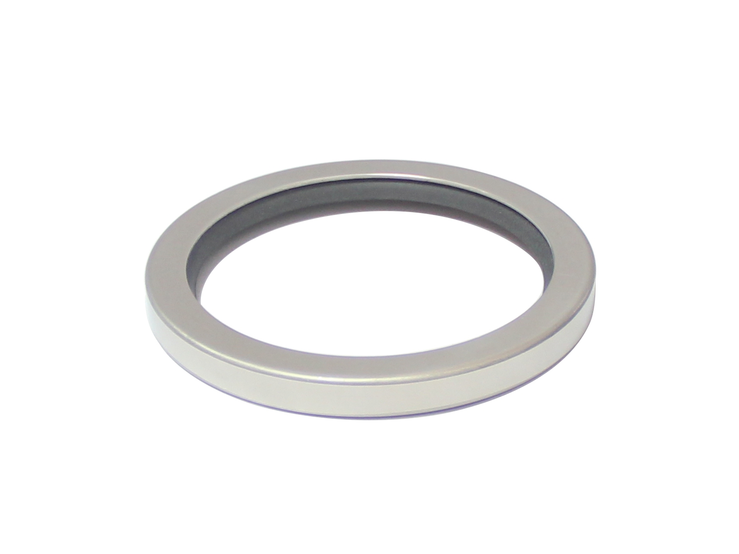DSH-Oil Seal Types, Single Lip Ptfe Stainless Steel Rotary Shaft Seal-2