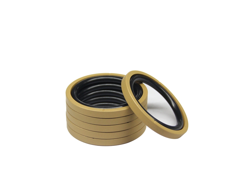 DSH-Piston Seal Design | Piston Seal Bronze Filled PTFE Glyd Ring-11