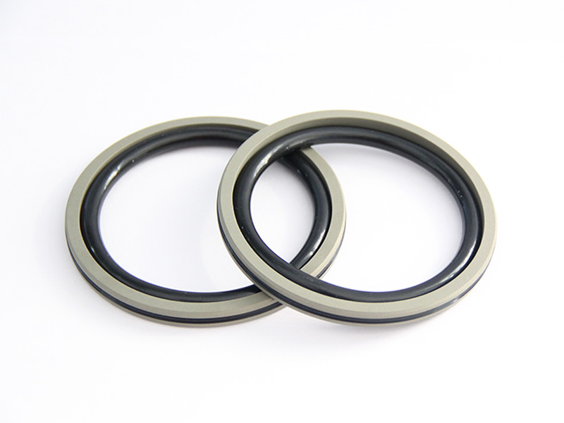 DSH-Professional Piston Seal Piston Ring Supplier-1