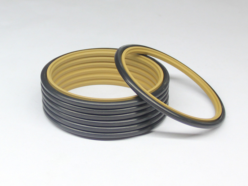 DSH-Professional Cylinder Rod Seals Packing Rod Seals Manufacture-18