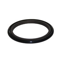 DSI-Bronze Filled PTFE Hydraulic Rod Seal Glyd Ring