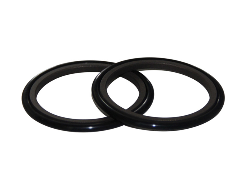 DSH-Rod Wiper Dsi-bronze Filled Ptfe Hydraulic Rod Seal Glyd Ring-1