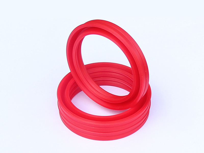 DSH-Professional Cylinder Rod Seals Rod Seal Catalogue Manufacture-1