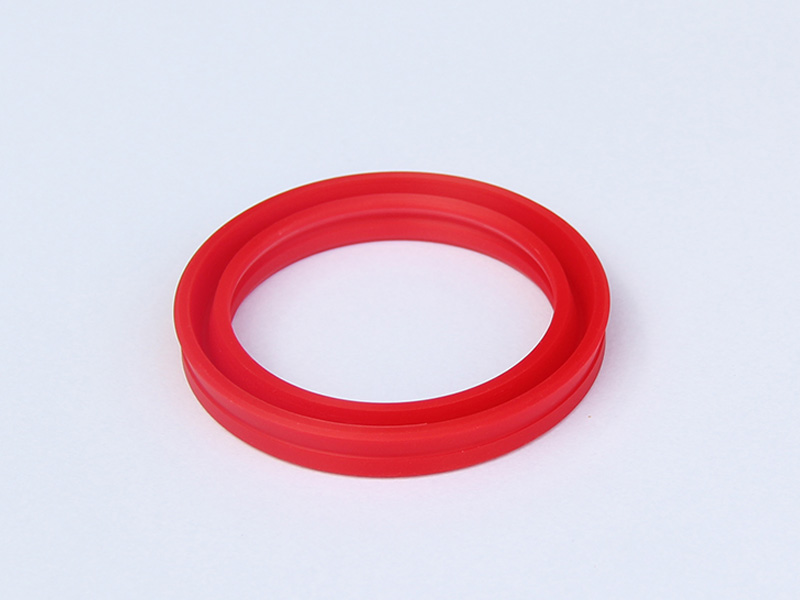 DSH-Professional Cylinder Rod Seals Rod Seal Catalogue Manufacture-2