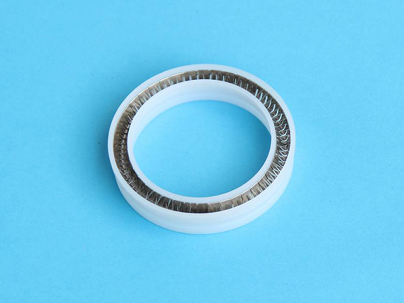 DSH-Manufacturer Of Spring Energized Ptfe Seal Custom Seal-2