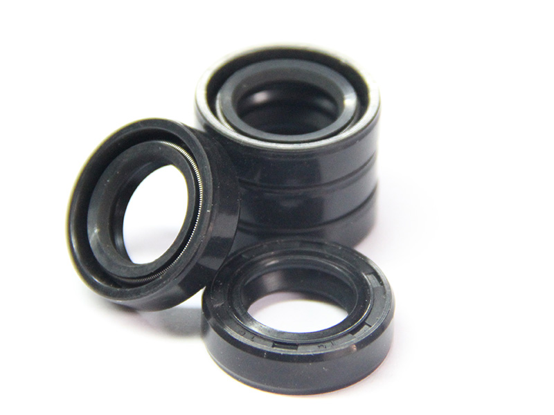 DSH-Different Types Of Oil Seals | Radial Shaft Double Lip Oil Seal-3