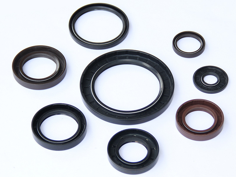 DSH-Different Types Of Oil Seals | Radial Shaft Double Lip Oil Seal-5