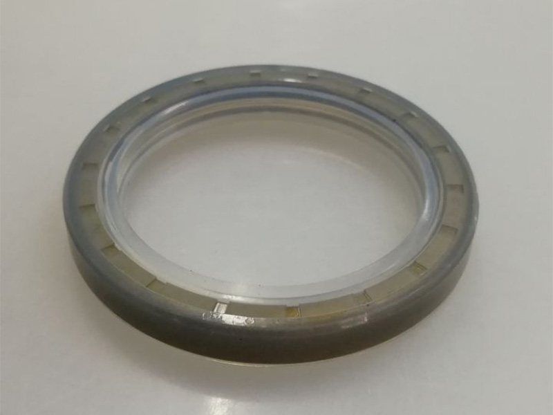 DSH-Different Types Of Oil Seals | Radial Shaft Double Lip Oil Seal-9