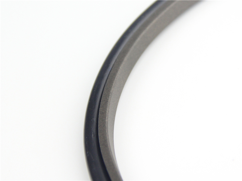 DSH-High-quality Rod Seal | Spno-bronze Filled Ptfe Hydraulic Rod Seals-1