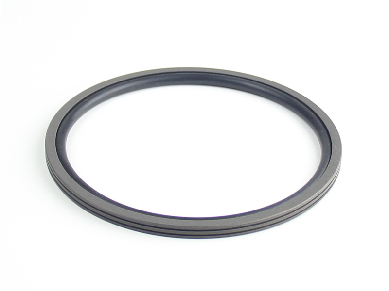 DSH-Find Shaft Oil Seal High Pressure Rotary Seal From Dsh Seals-2