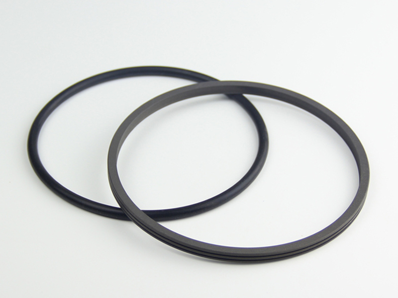 DSH-Find Shaft Oil Seal High Pressure Rotary Seal From Dsh Seals-6