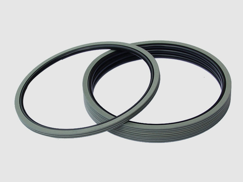 DSH-Find Shaft Oil Seal High Pressure Rotary Seal From Dsh Seals-8