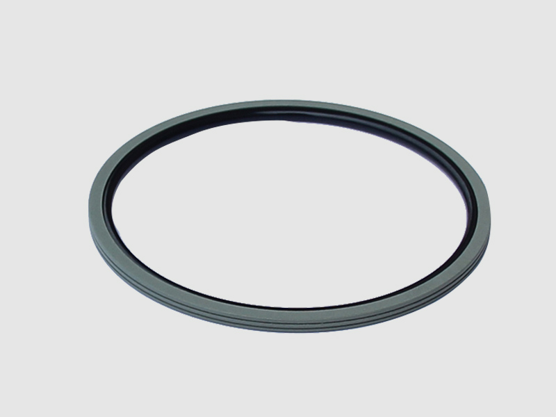 DSH-Find Shaft Oil Seal High Pressure Rotary Seal From Dsh Seals-9