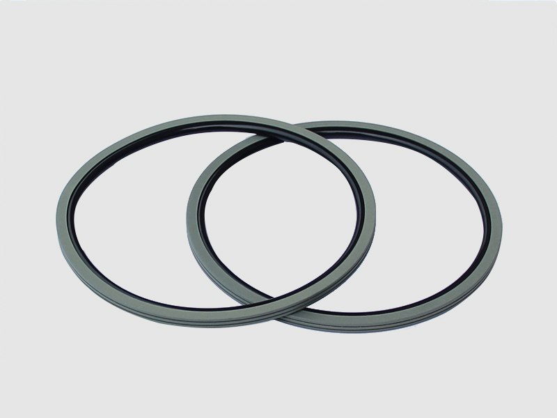 DSH-Find Shaft Oil Seal High Pressure Rotary Seal From Dsh Seals-10
