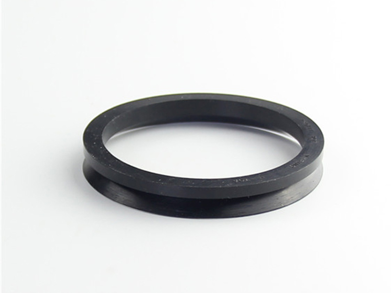 DSH-Professional Shaft Oil Seal Rotary Shaft Seal Catalog Supplier-1