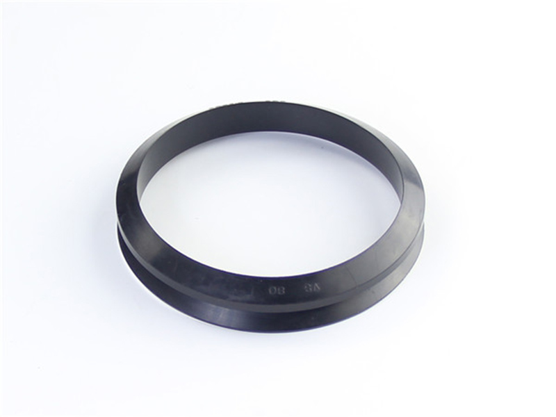 DSH-Rotary Shaft Seal Dvs - Rotary Rubber Seal V Ring-2