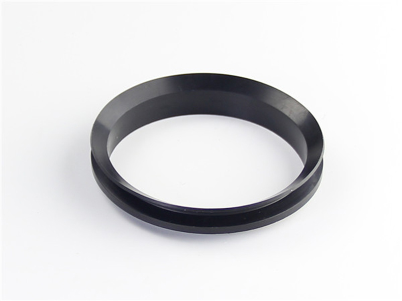 DSH-Rotary Shaft Seal Dvs - Rotary Rubber Seal V Ring-3