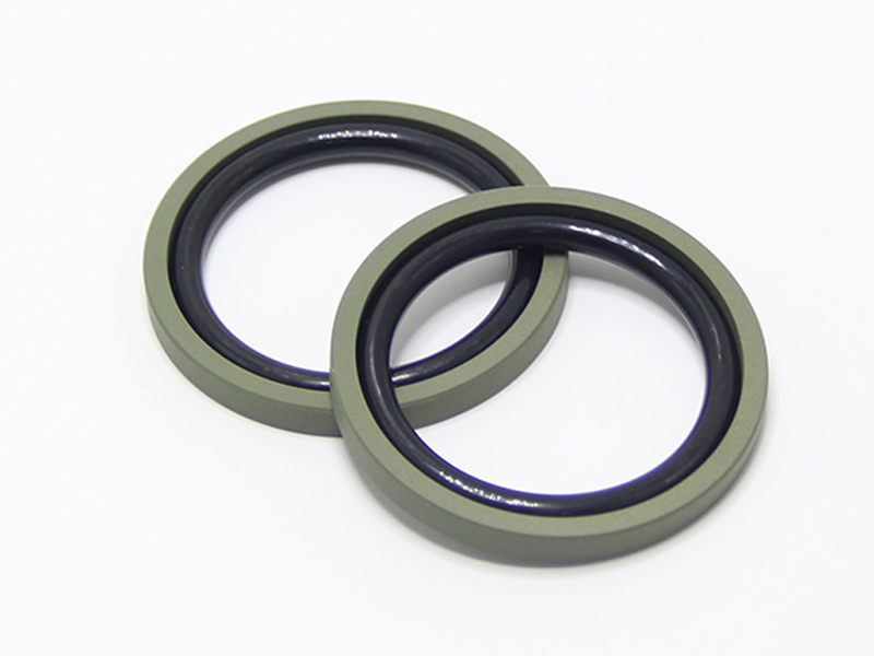 DSH-Pneumatic Piston Seal Manufacture | Spgo - Ptfe Filled With-2