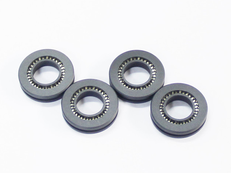 DSH-Manufacturer Of Ptfe Oil Seals H Type - Ptfe H Type Oil Seals-2