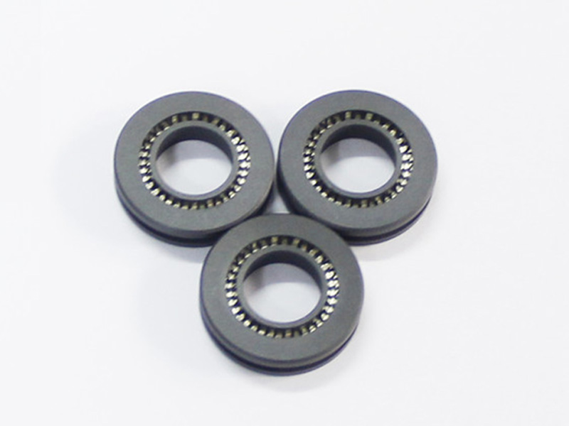DSH-Manufacturer Of Ptfe Oil Seals H Type - Ptfe H Type Oil Seals-5