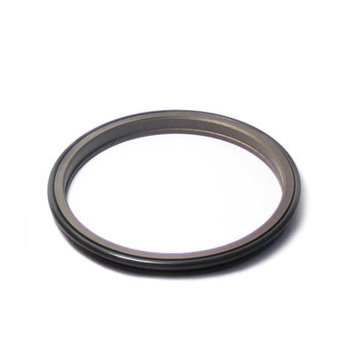 DPR-Cylinder Wiper Ring Dustproof Scraper Seal
