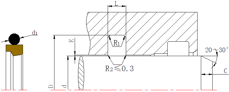 DSH-Professional Cylinder Rod Seals Packing Rod Seals Manufacture-23