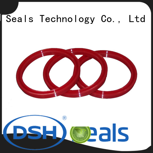 viton rubber gasket materialu cup seal of DSH