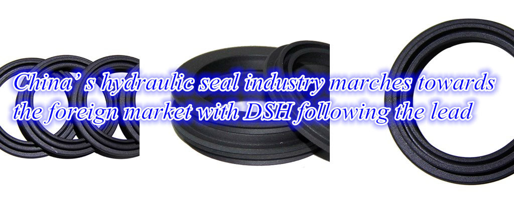 DSH-Hydraulic seal industry towards the foreign market | DHS