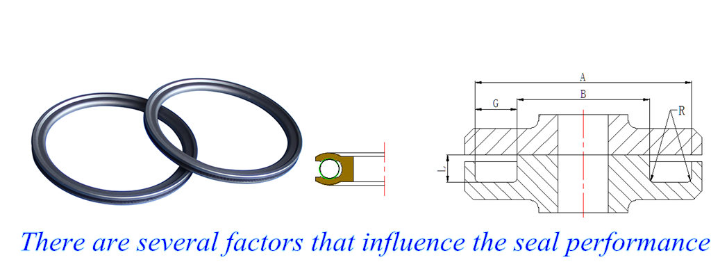 DSH-several factors that influence the seal performance