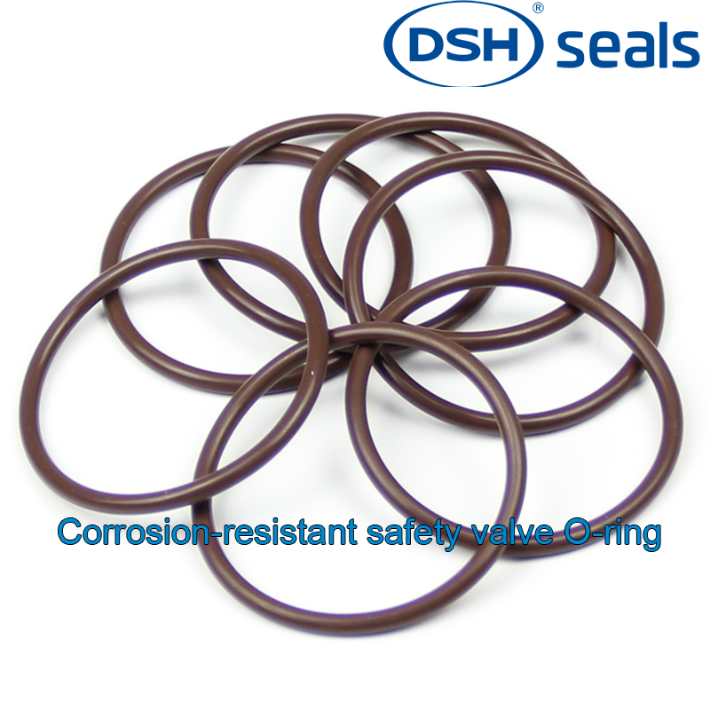 DSH-A Corrosion-resistant Safety Valve O-ring