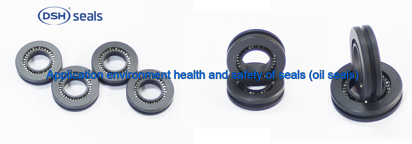 DSH-Application Environment Health And Safety Of Seals