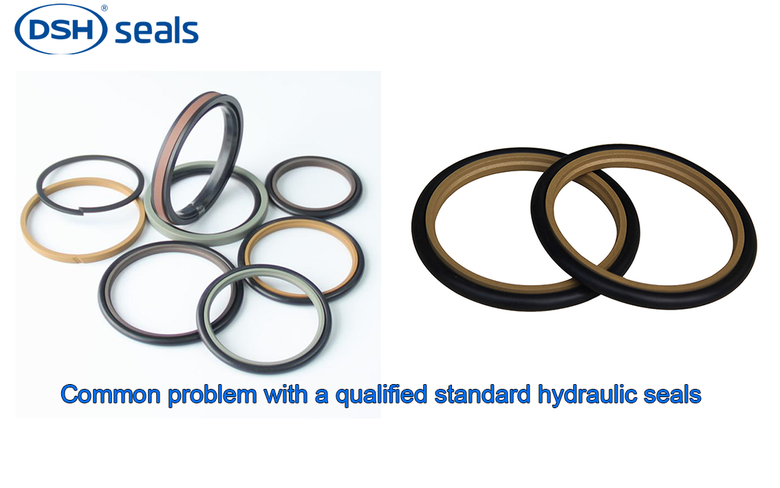 DSH-Common Problem With A Qualified Standard Hydraulic Seals