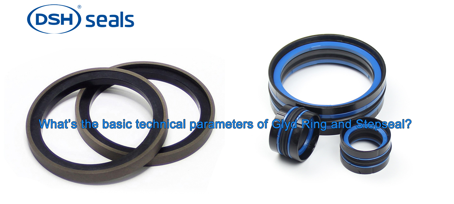DSH-What’s The Basic Technical Parameters Of Glyd Ring And Stepseal