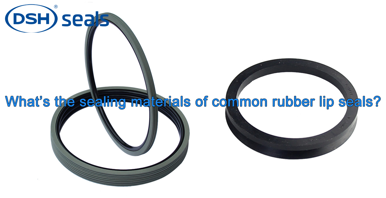 DSH-Whats The Sealing Materials Of Common Rubber Lip Seals