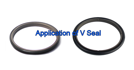 DSH-Application of V Seal