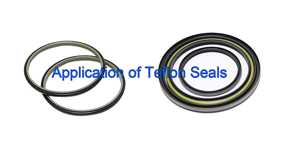 DSH-Application of Teflon Seals